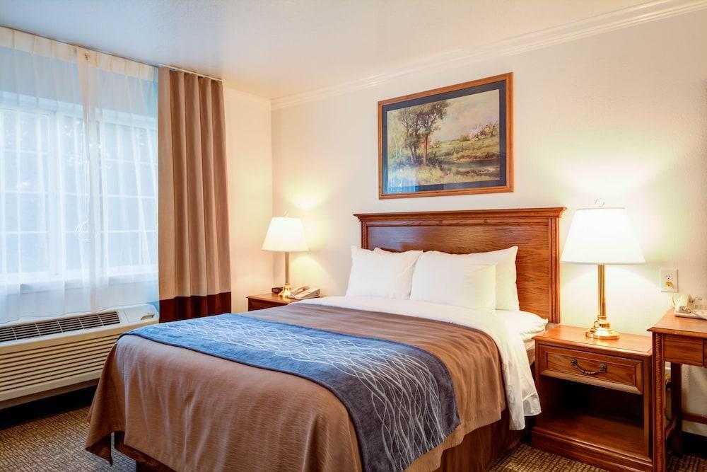 Best Western Paradise Hotel Buitenkant foto